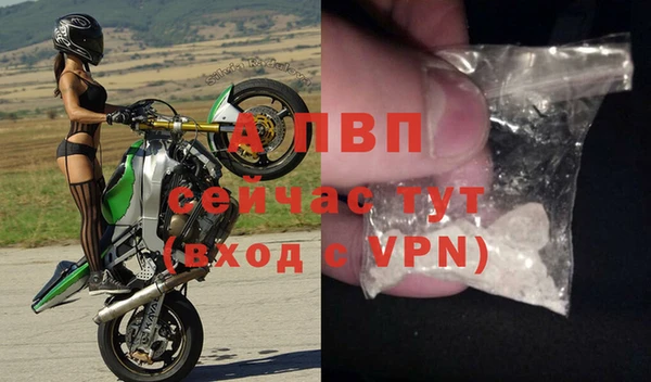 spice Белокуриха