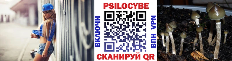 Псилоцибиновые грибы ЛСД  Железногорск-Илимский 
